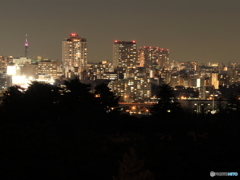 桜ヶ丘公園　ゆうひの丘から