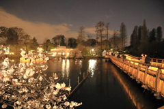 井の頭公園の夜桜