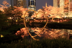 恋と夜桜