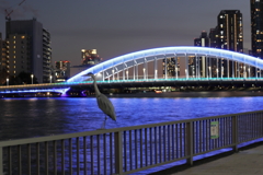 黄昏の永代橋