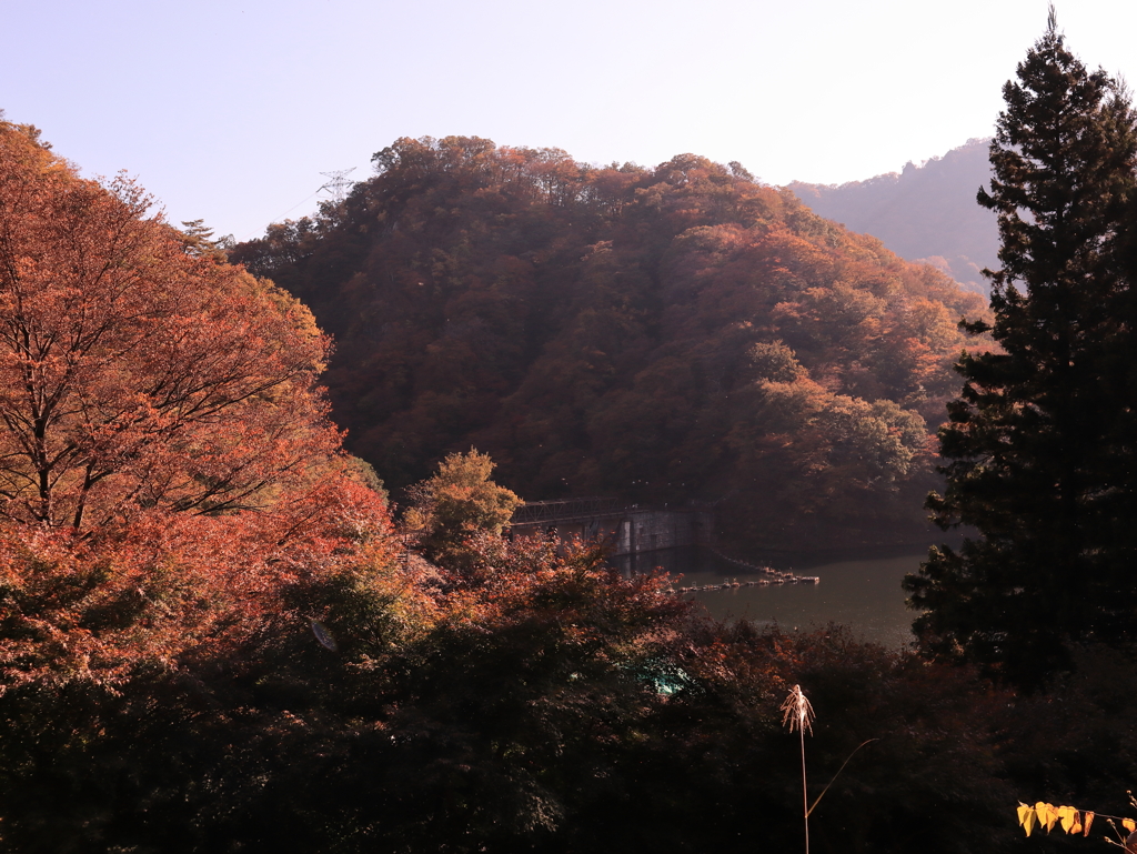 秋の碓井湖
