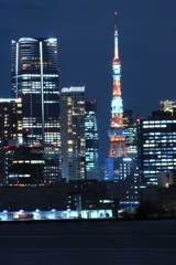 夜の東京タワー