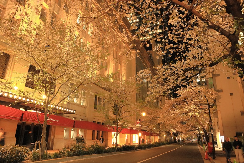 高島屋の桜