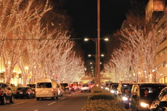 表参道イルミネーション