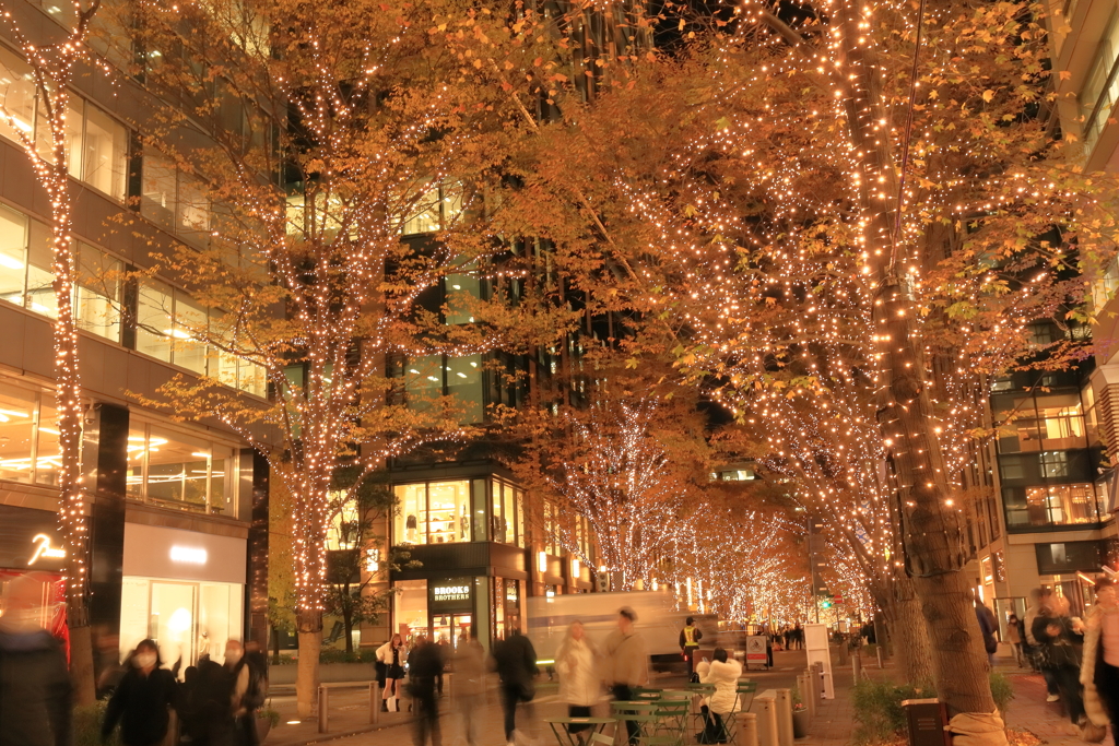 丸の内イルミネーション⑨