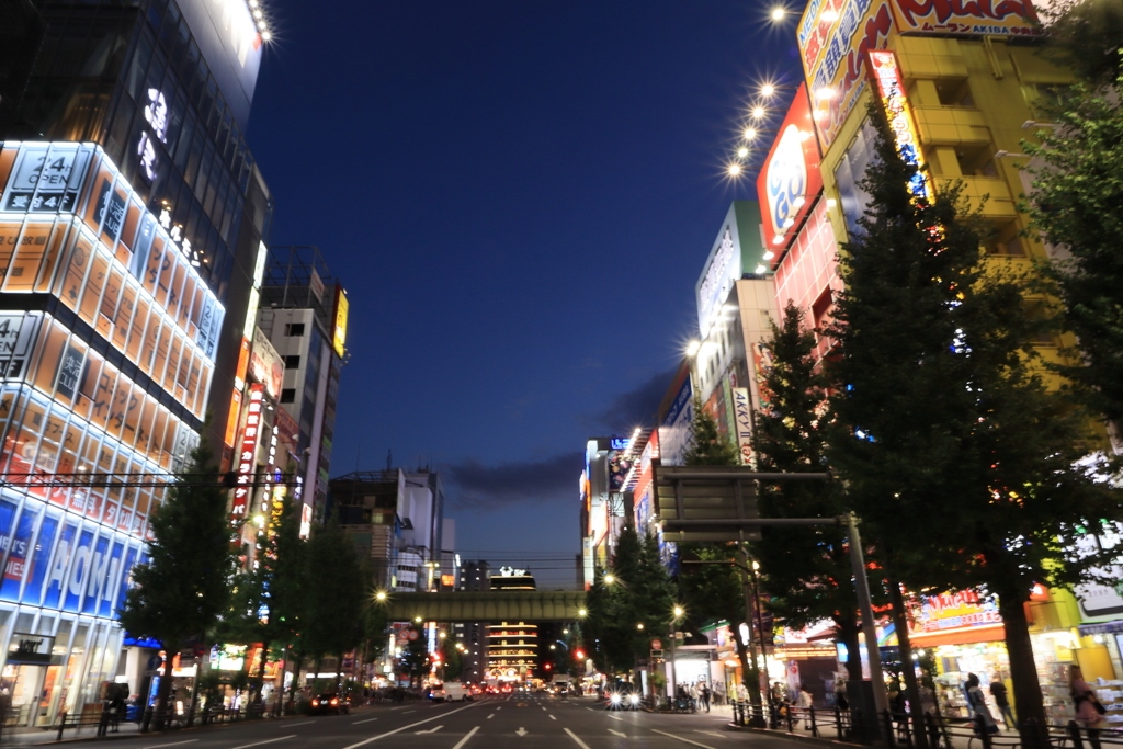 秋葉原