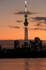 夕暮れ時のスカイツリー