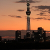 夕暮れ時のスカイツリー