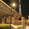 スカイツリーと謎のオブジェ