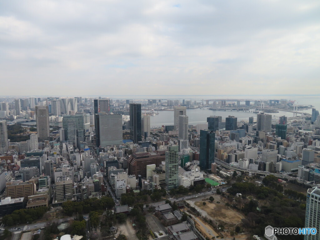 東京タワーからの景色