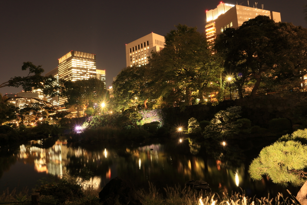 夜の日比谷公園