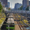 山手線のある風景　池袋　堀之内橋にて