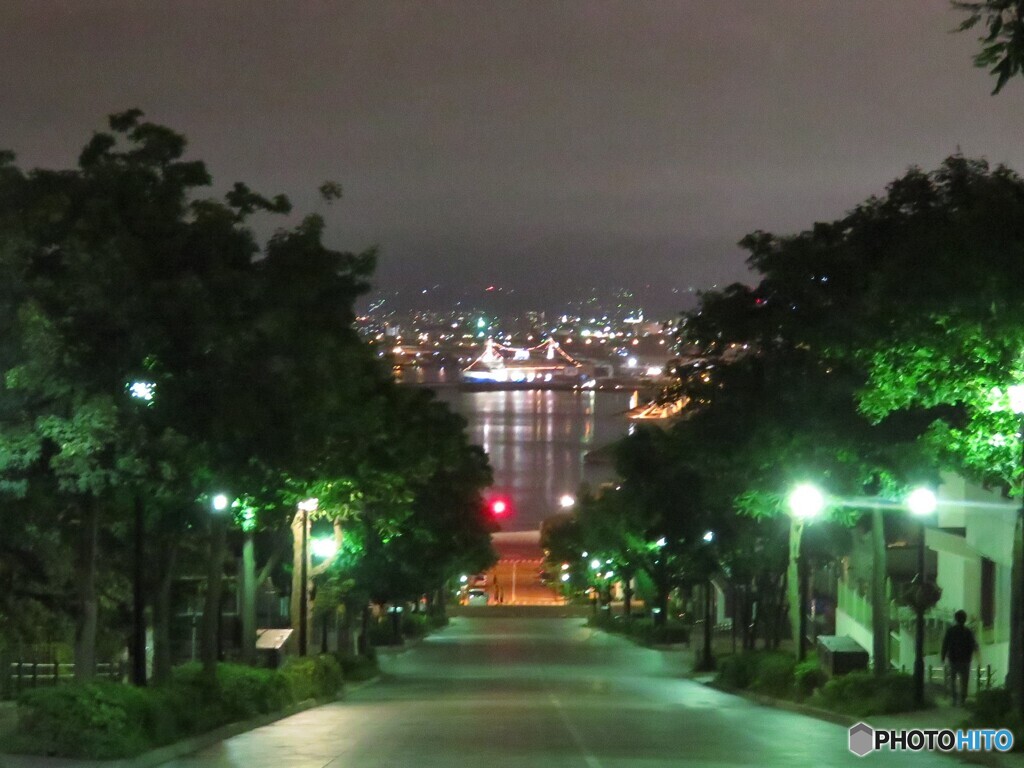 夜の八幡坂