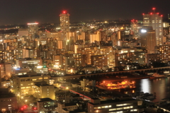 千葉ポートタワーからの風景
