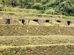 大森銀山　清水谷精練所跡