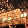 桜と電車