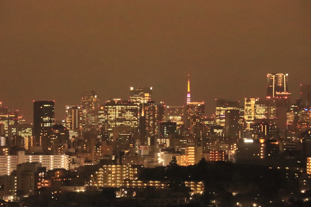 北から東京タワー