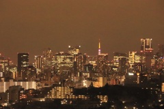 北から東京タワー