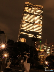 夜の日比谷公園