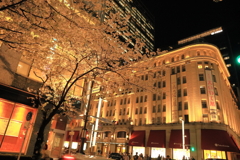 高島屋の桜