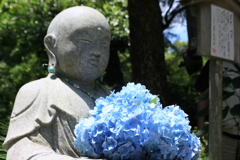 仏と紫陽花