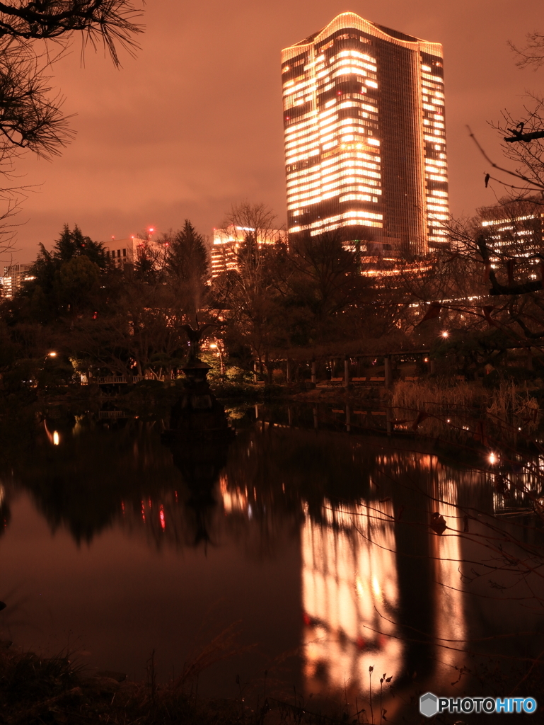夜の日比谷公園