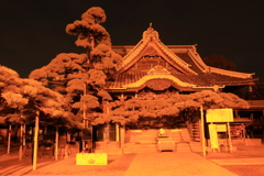 夜の柴又帝釈天