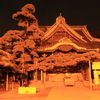 夜の柴又帝釈天