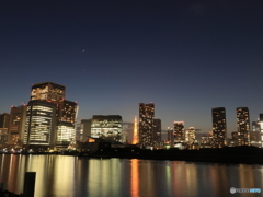 東京タワーと夕景