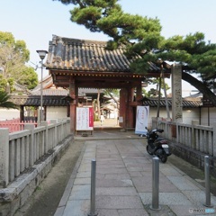 藤井寺202103