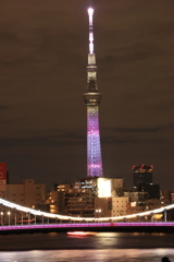 清洲橋越しのスカイツリー