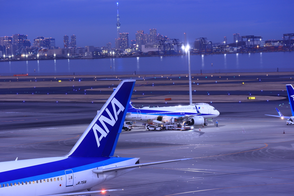 夜の飛行場
