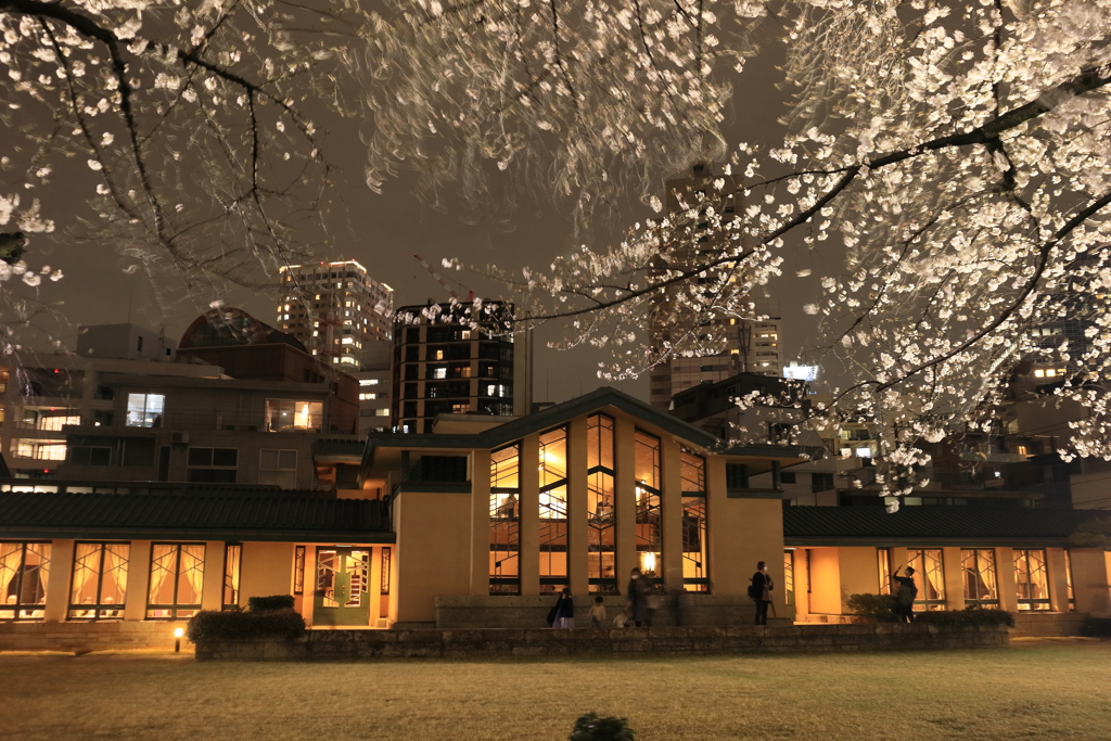 夜の自由学園明日館