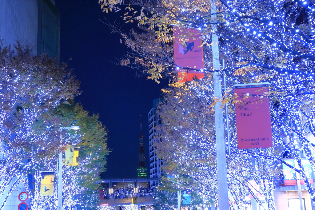 欅坂イルミネーション