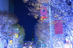 欅坂イルミネーション