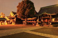 夜の柴又帝釈天