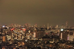 東京の夜