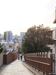 富士山が見えない「富士見坂」