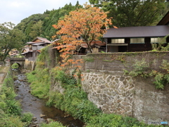 大森銀山　羅漢町橋付近