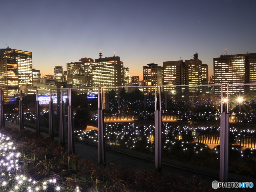 霞が関夜景 at 東京ミッドタウン日比谷