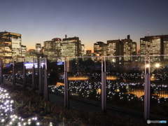 霞が関夜景 at 東京ミッドタウン日比谷