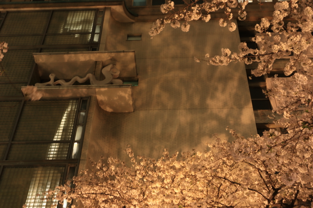 高島屋の夜桜