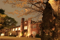 夜の立教大学