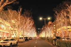 表参道イルミネーション