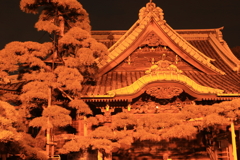 夜の柴又帝釈天