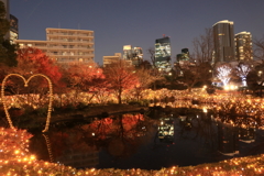 毛利庭園のイルミネーション