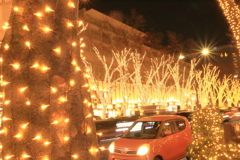 表参道イルミネーション