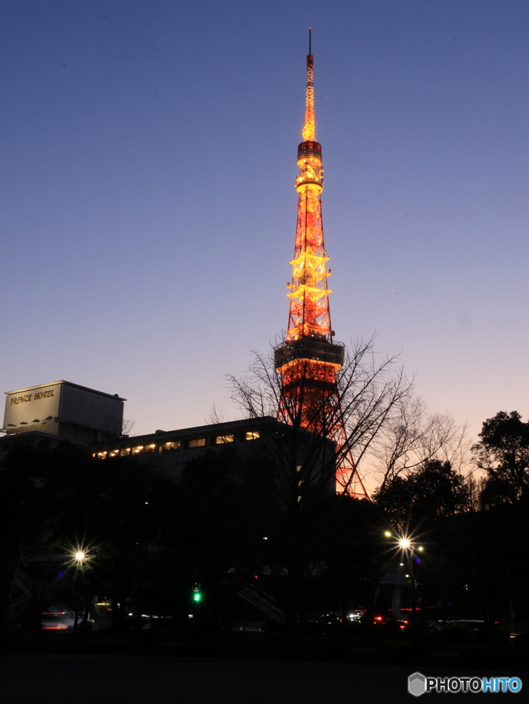 夕暮れの東京タワー