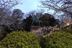 上野公園の夜桜