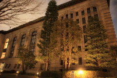 夜の上野公園‐国際子ども図書館